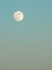 moon